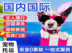 贵阳龙洞堡航空快运国际宠物托运 【国